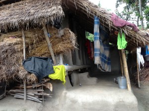IMG_Dinajpur in North Bengal 